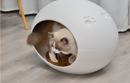 Medium Cave Cat Kitten Box Igloo Cat Bed House Dog Puppy House White