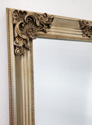 Deluxe French Provincial Ornate Mirror - Champagne - 80cm x 170cm