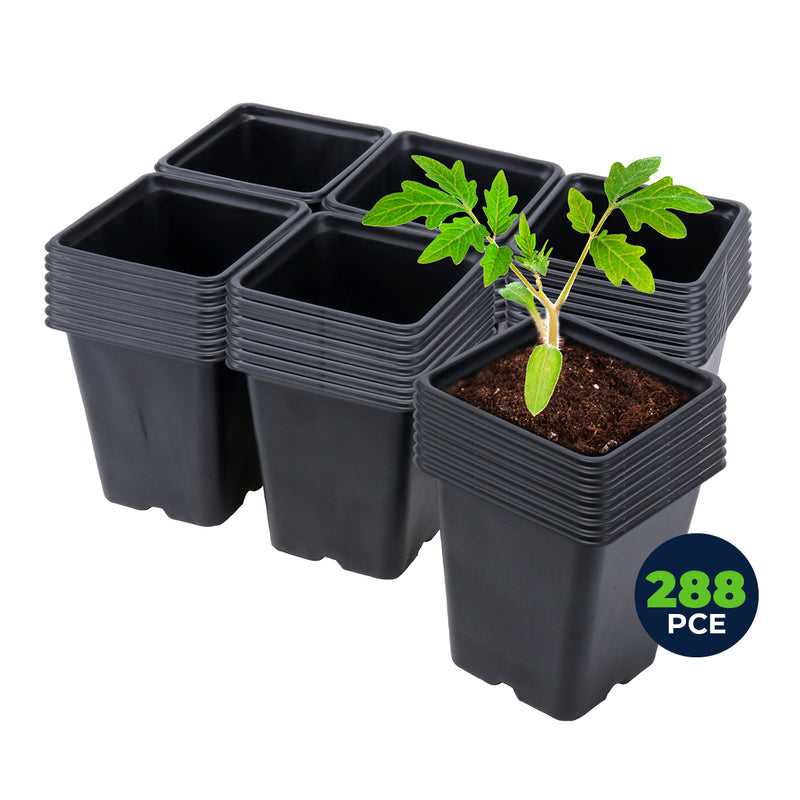 Garden Greens 288PCE Planter Seedling Pot Square Reusable Durable 11cm x 12cm