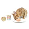 CAT FOREST Premium Tuna White Meat With Chicken In Jelly Cat Canned Food 85G X 24