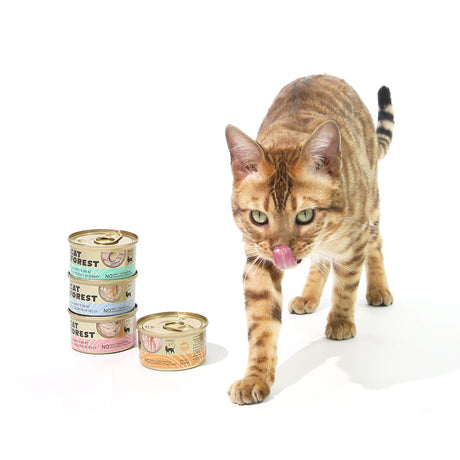 CAT FOREST Premium Tuna White Meat With Chicken In Jelly Cat Canned Food 85G X 24