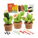 Beginners Crochet Kit, DIY 3PC Cactus Kit, Complete Knitting Kit with Video