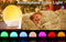 Sunrise Alarm Clock Wake Up Light 7 Sounds, Dual Alarms, Snooze, FM Radio