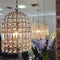 Whitney Dome Glass Crystal Chandelier - Brass