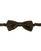 Dolce &amp; Gabbana Exclusive Bow Tie One Size Men