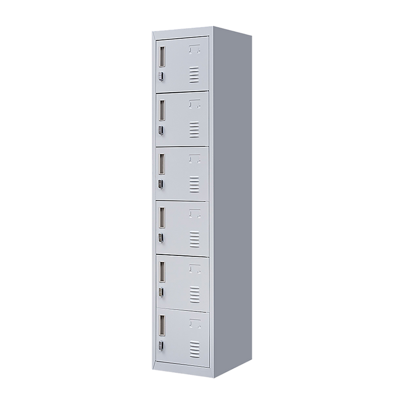 6-Door Locker for Office Gym Shed School Home Storage