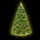 Jingle Jollys Christmas Tree 2.1M With 1134 LED Lights Warm White Green