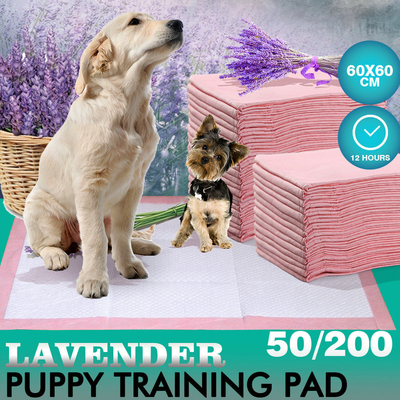 PawZ 400 Pcs 60x60 cm Pet Puppy Toilet Training Pads Absorbent Lavender Scent