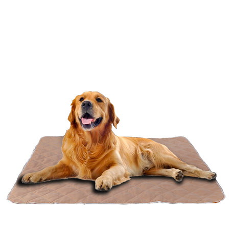 PaWz 2 Pcs 120x120 cm Reusable Waterproof Pet Puppy Toilet Training Pads