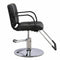 New BestSalon Hydraulic Barber Chair Styling Salon Beauty Equipment Spa