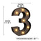 LED Metal Number Lights Free Standing Hanging Marquee Event Party D?cor Number 3