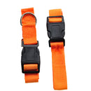 Adjustable Dog Hands Free Leash Waist Belt Buddy Jogging Walking Running Orange